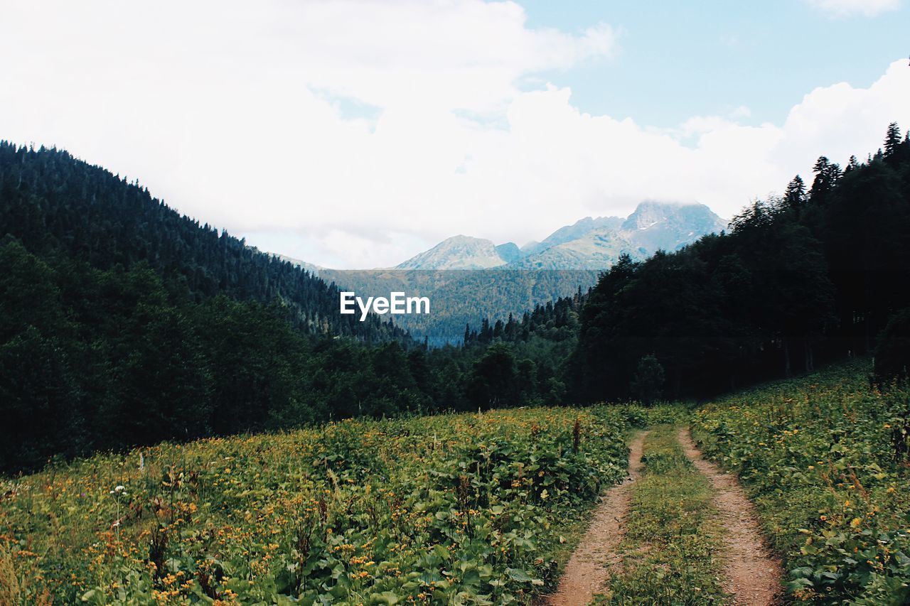 Scenic view of landscape against sky