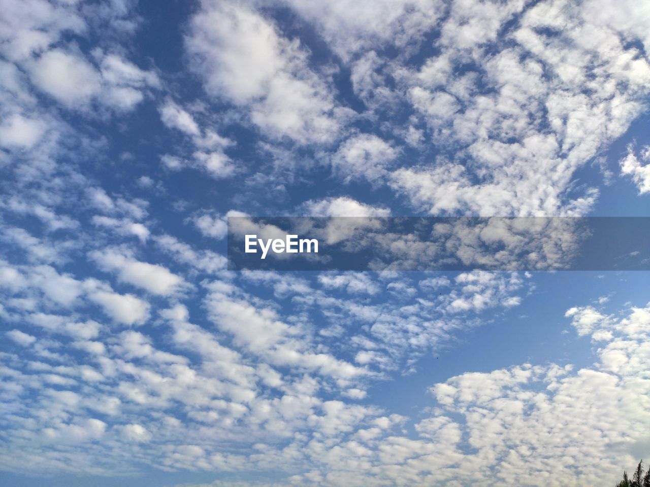 LOW ANGLE VIEW OF SKY