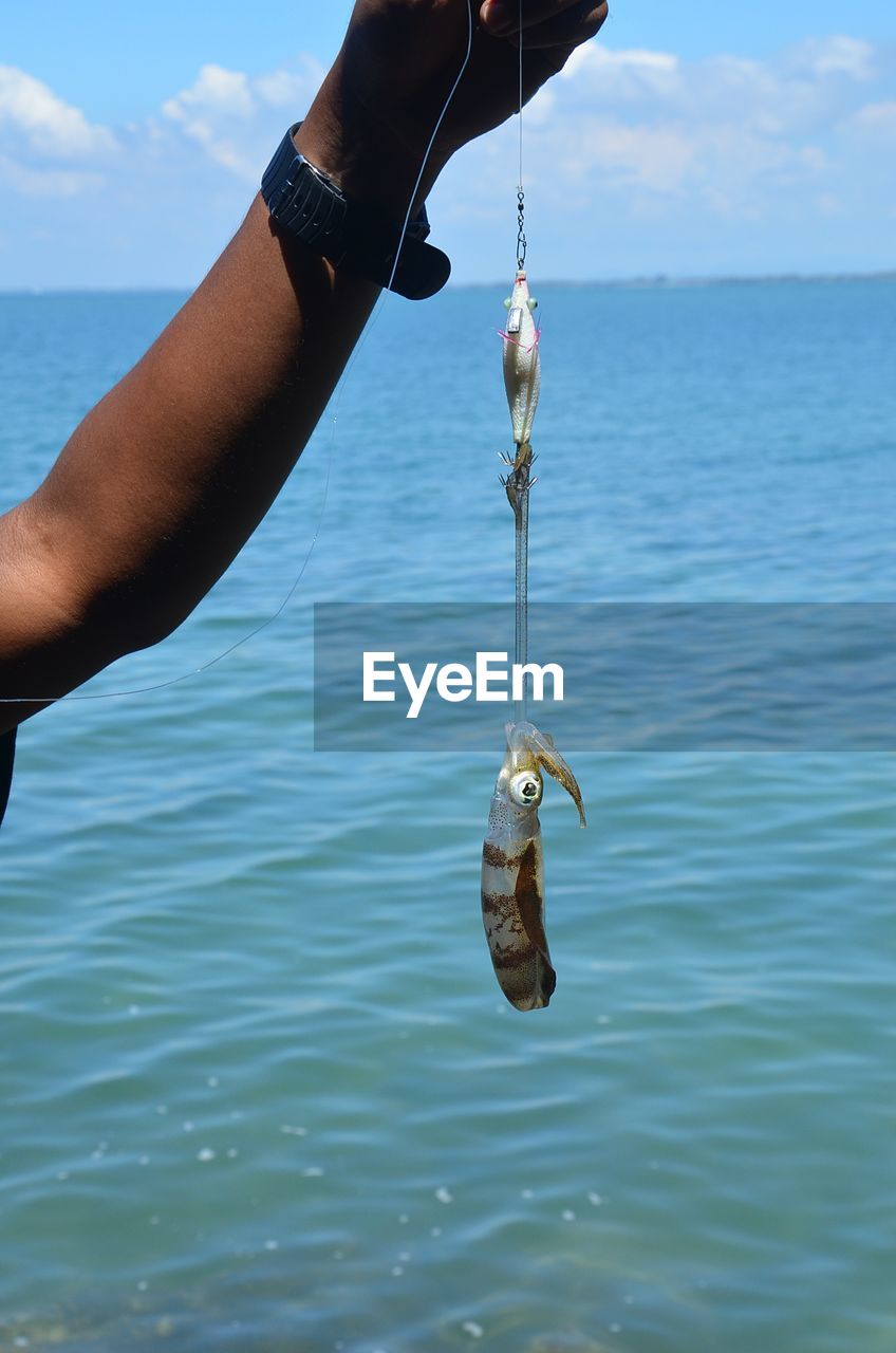 Cropped hand of man holding squid against sea