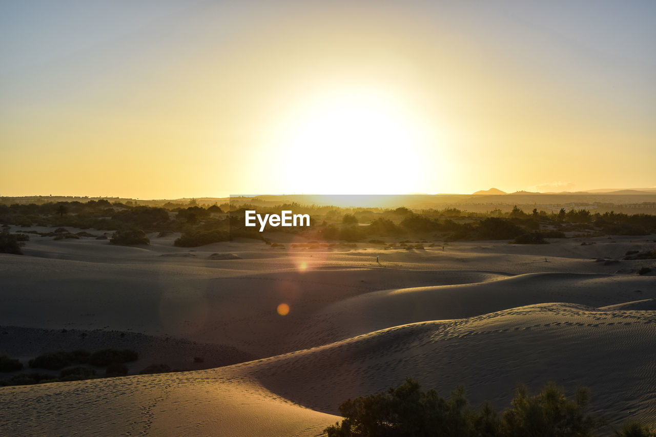 Scenic view of landscape against clear sky during sunset