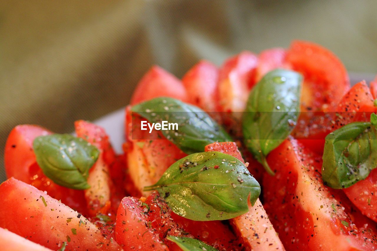 Close-up of chopped tomato salad in plate