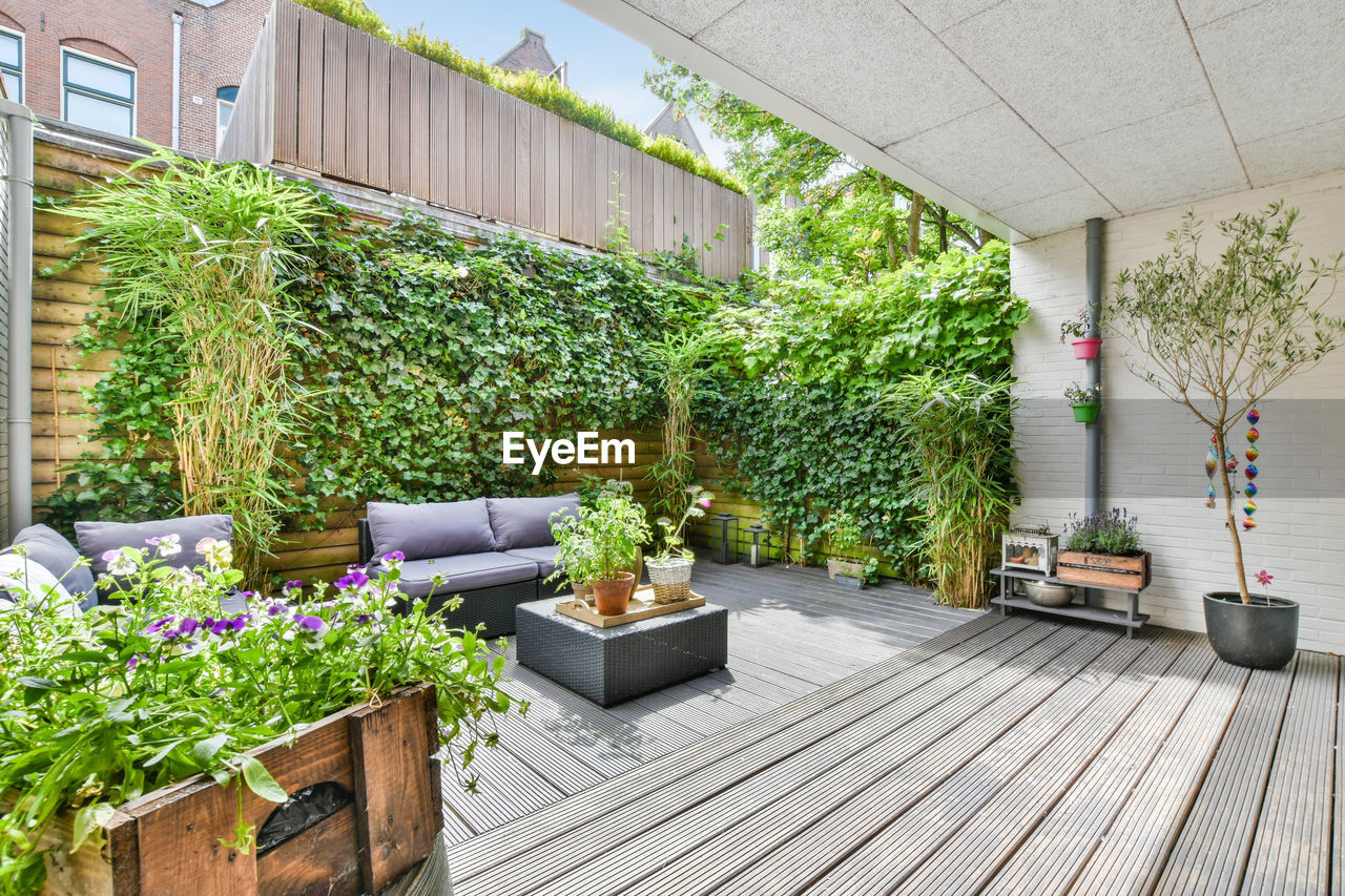 potted plants in front of house