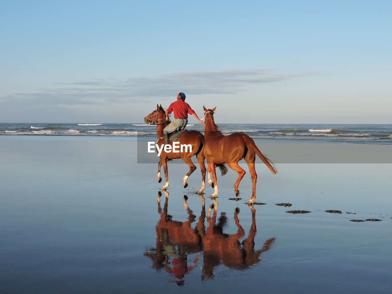 Man riding on horses at beach against sky