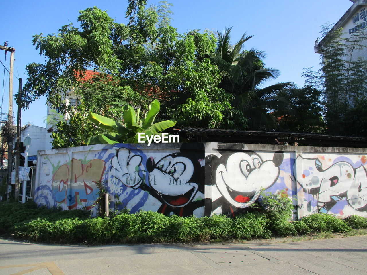 GRAFFITI ON WALL BY TREES