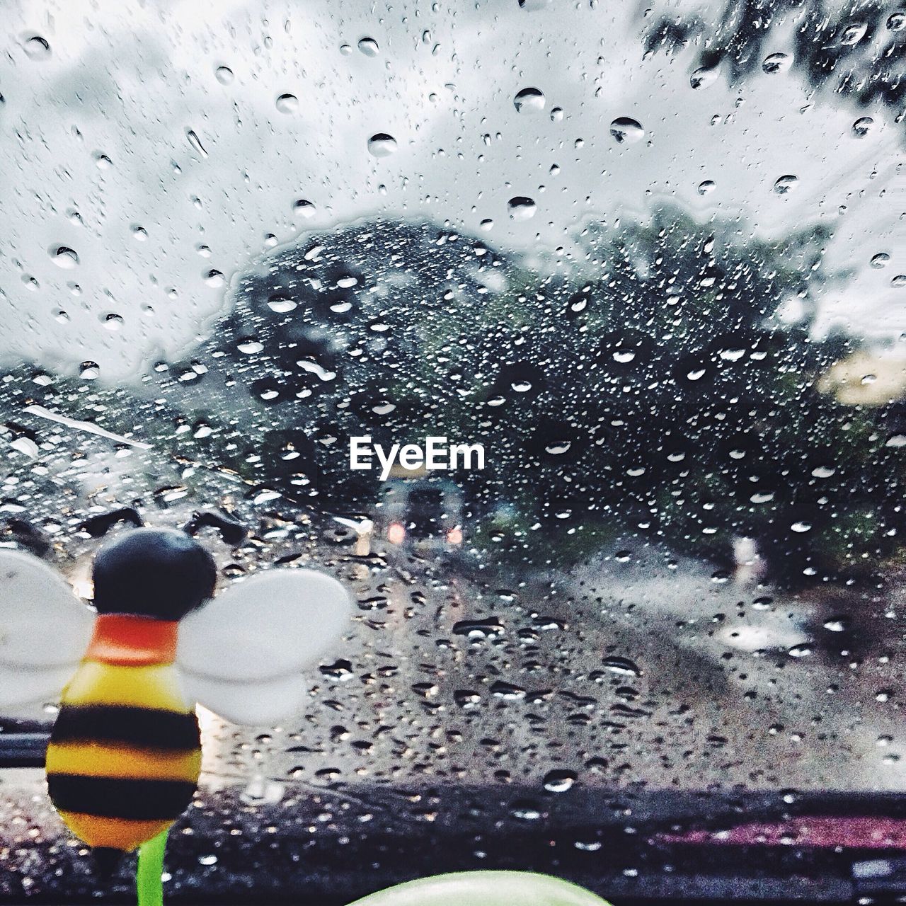 Artificial bee in front of wet car windshield
