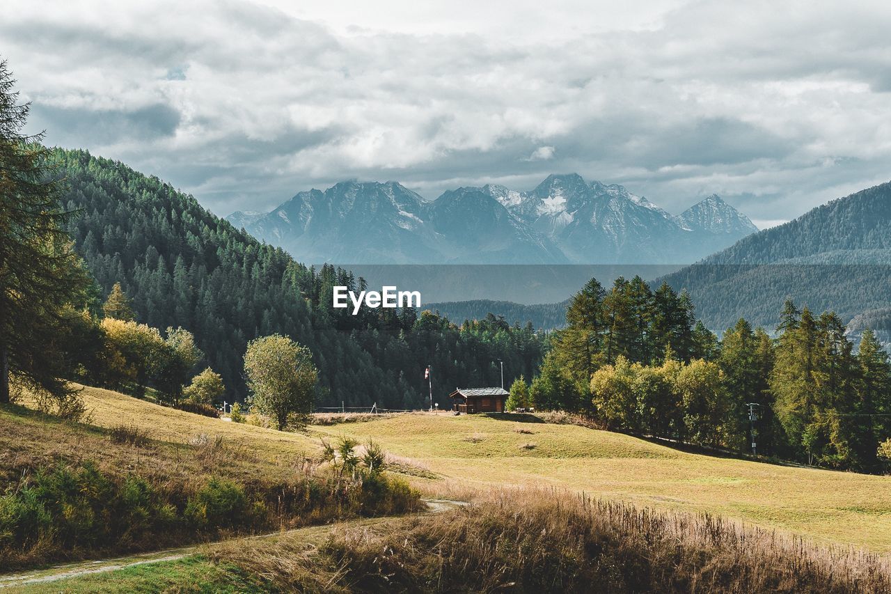 Scenic view of trees on field against sky