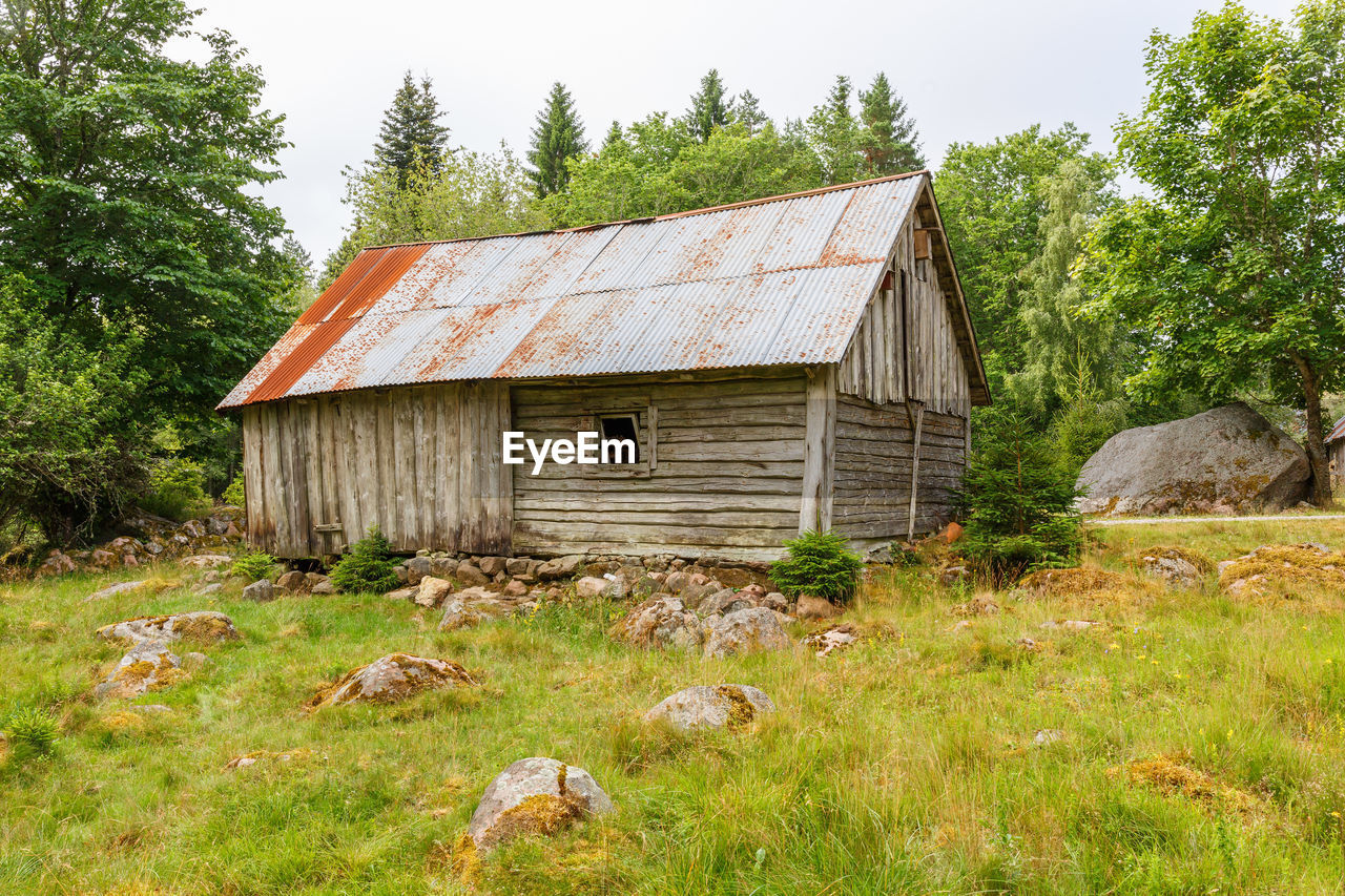 OLD WOODEN HOUSE ON FIELD