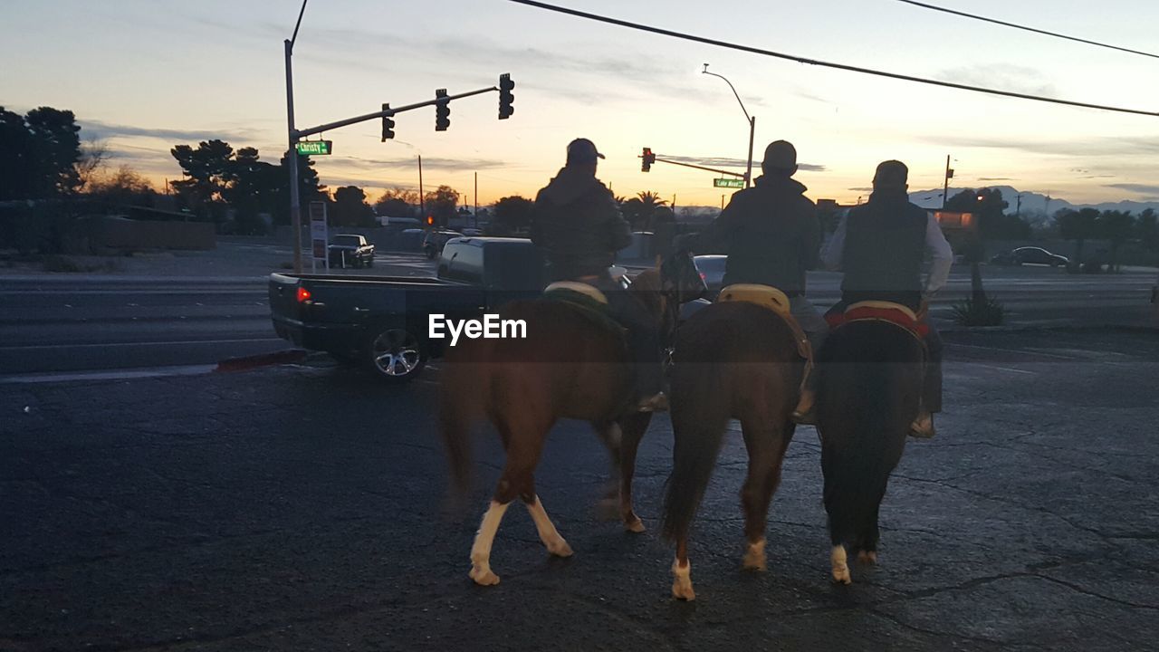 TWO HORSES ON ROAD