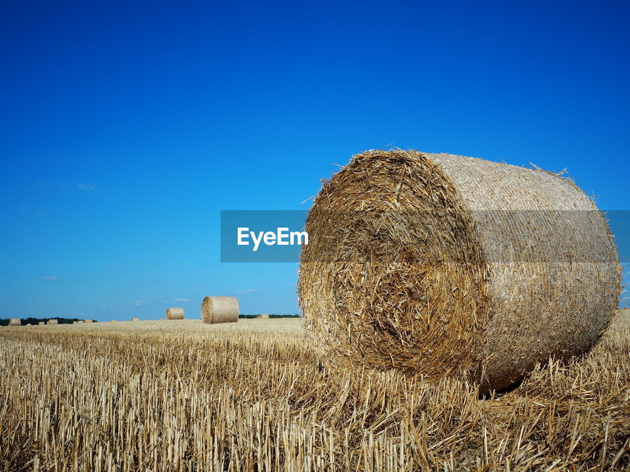 Hay bales on field against clear blue sky