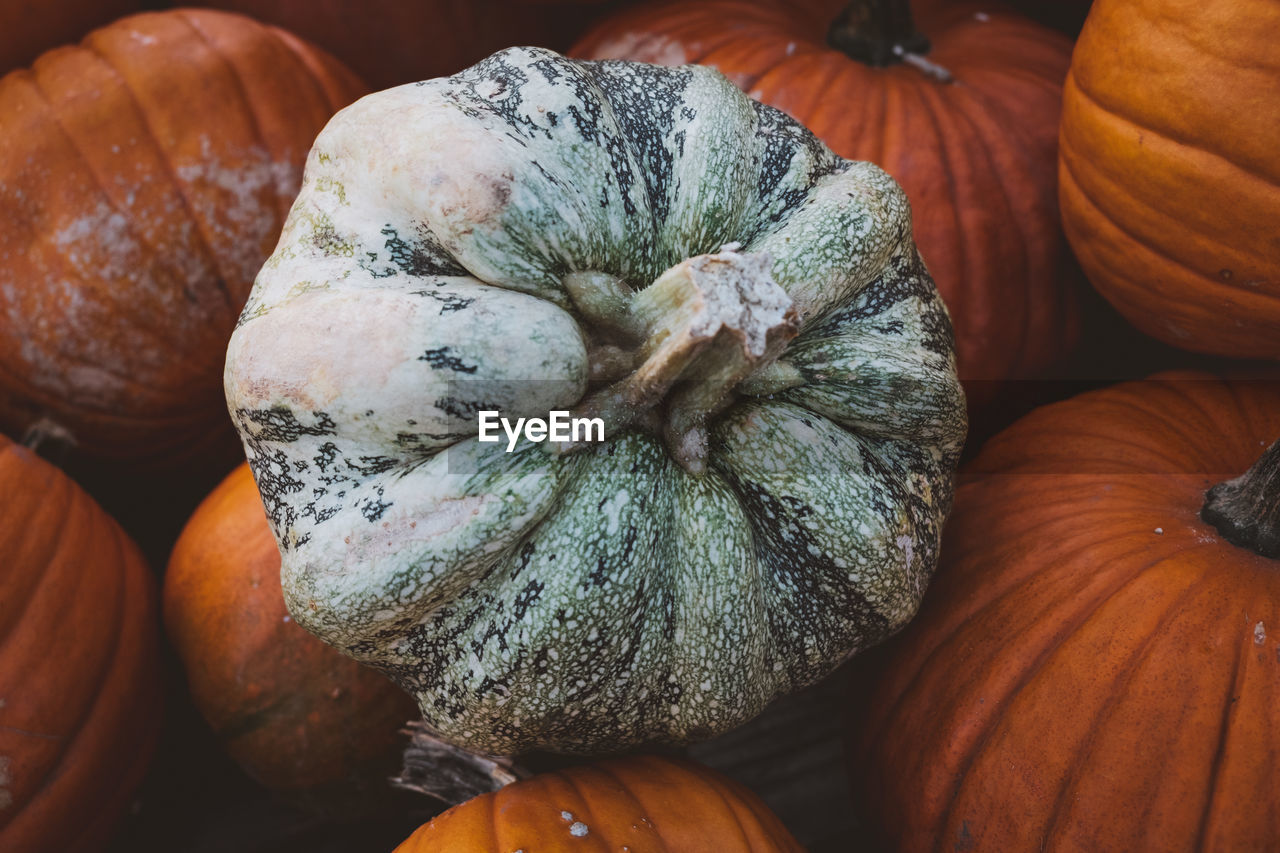 FULL FRAME SHOT OF PUMPKINS FOR SALE