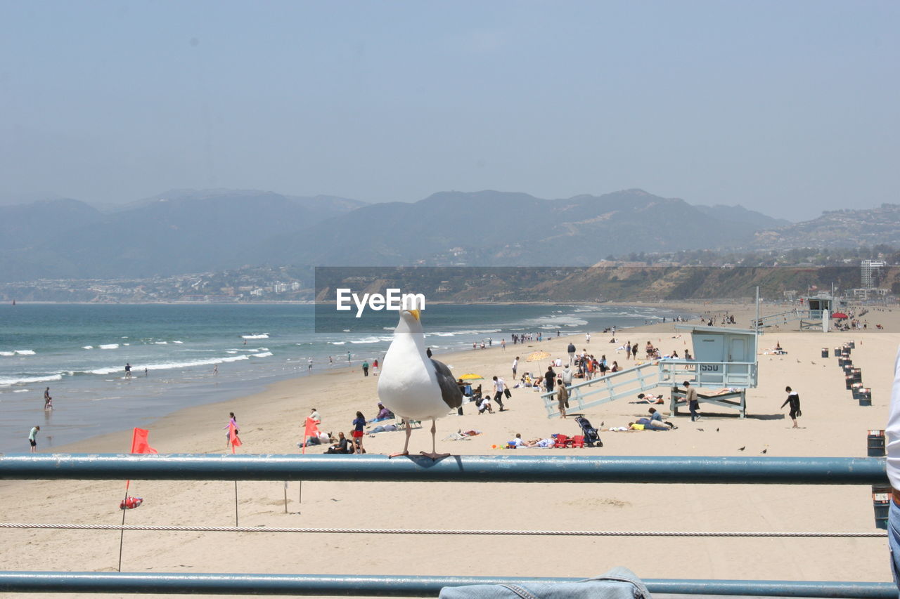 People on beach by sea against clear sky