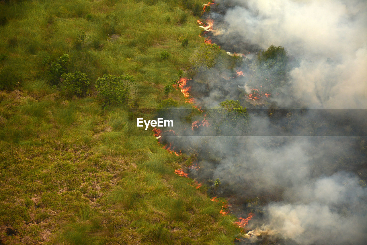 smoke, wildfire, environment, nature, land, plant, fire, burning, outdoors, landscape, no people, forest, day, high angle view, aerial view, accidents and disasters