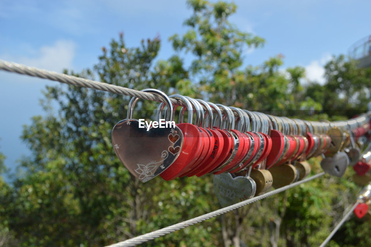 Close-up of love locks hanging on steel rope against tree background.