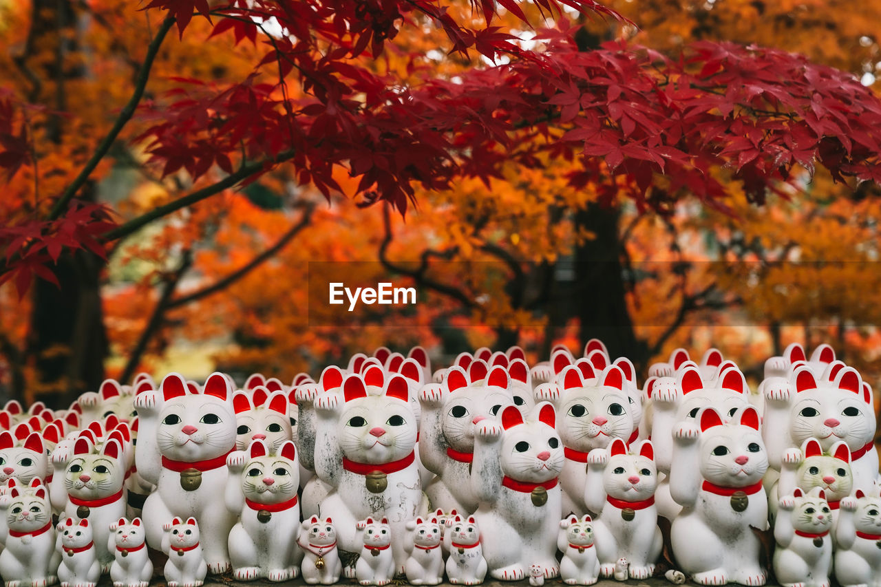 Lucky cats statue inside gotokuji temple, neko temple in tokyo, japan.