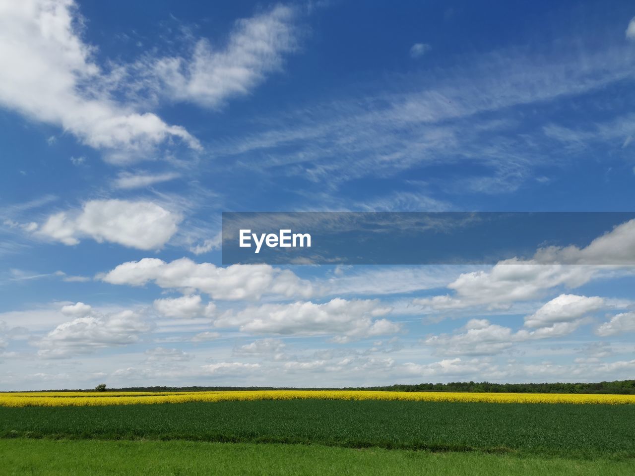 SCENIC VIEW OF FIELD AGAINST CLOUDY SKY