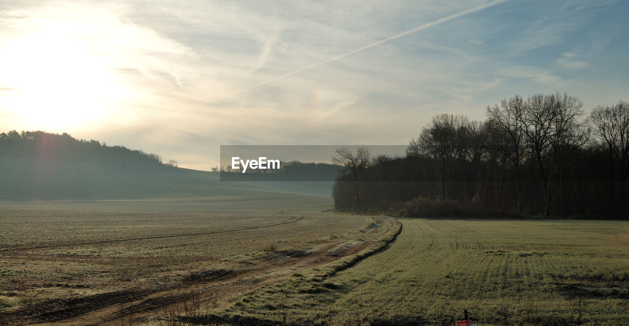 FIELD AGAINST SKY