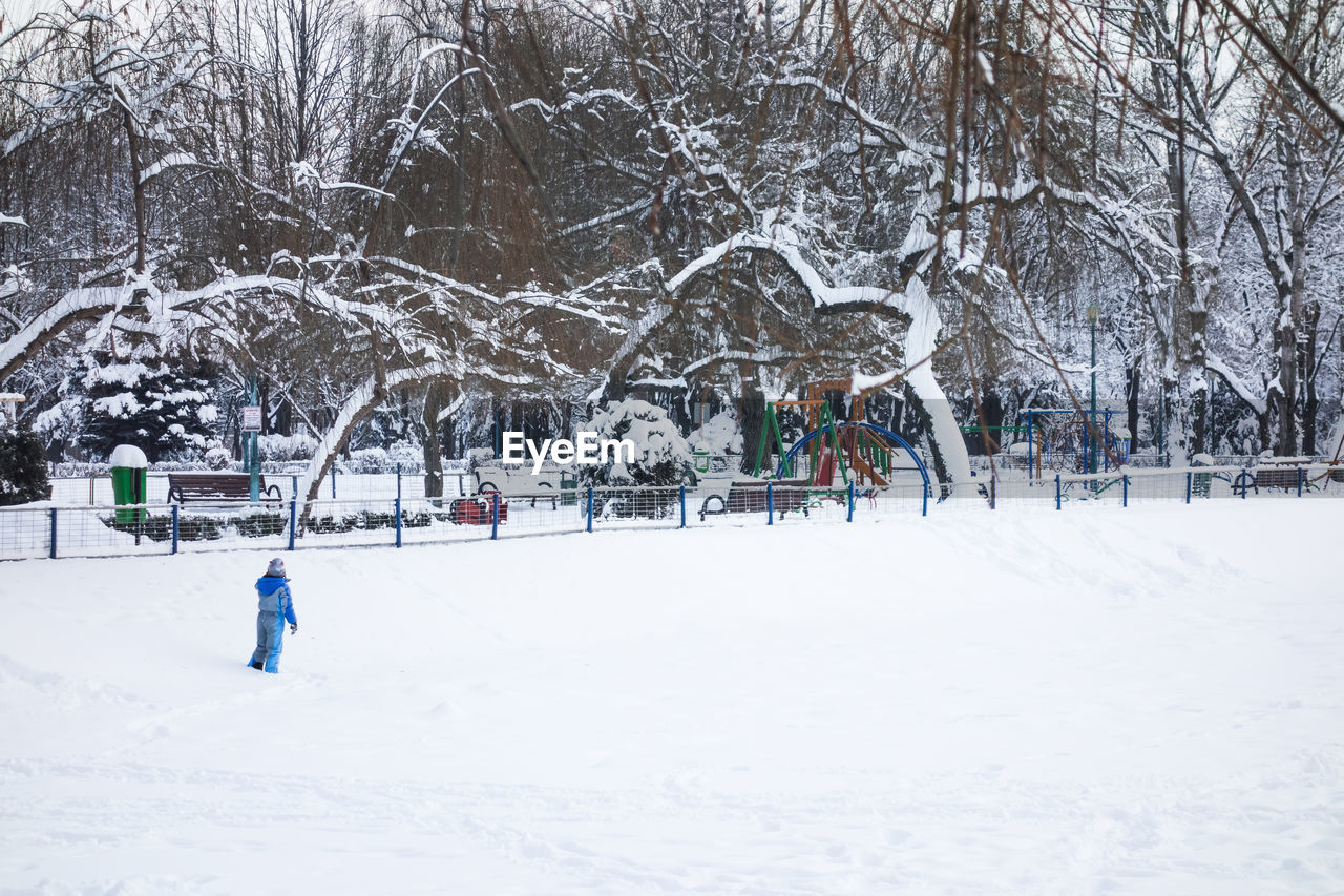 SNOW COVERED TREES ON FIELD