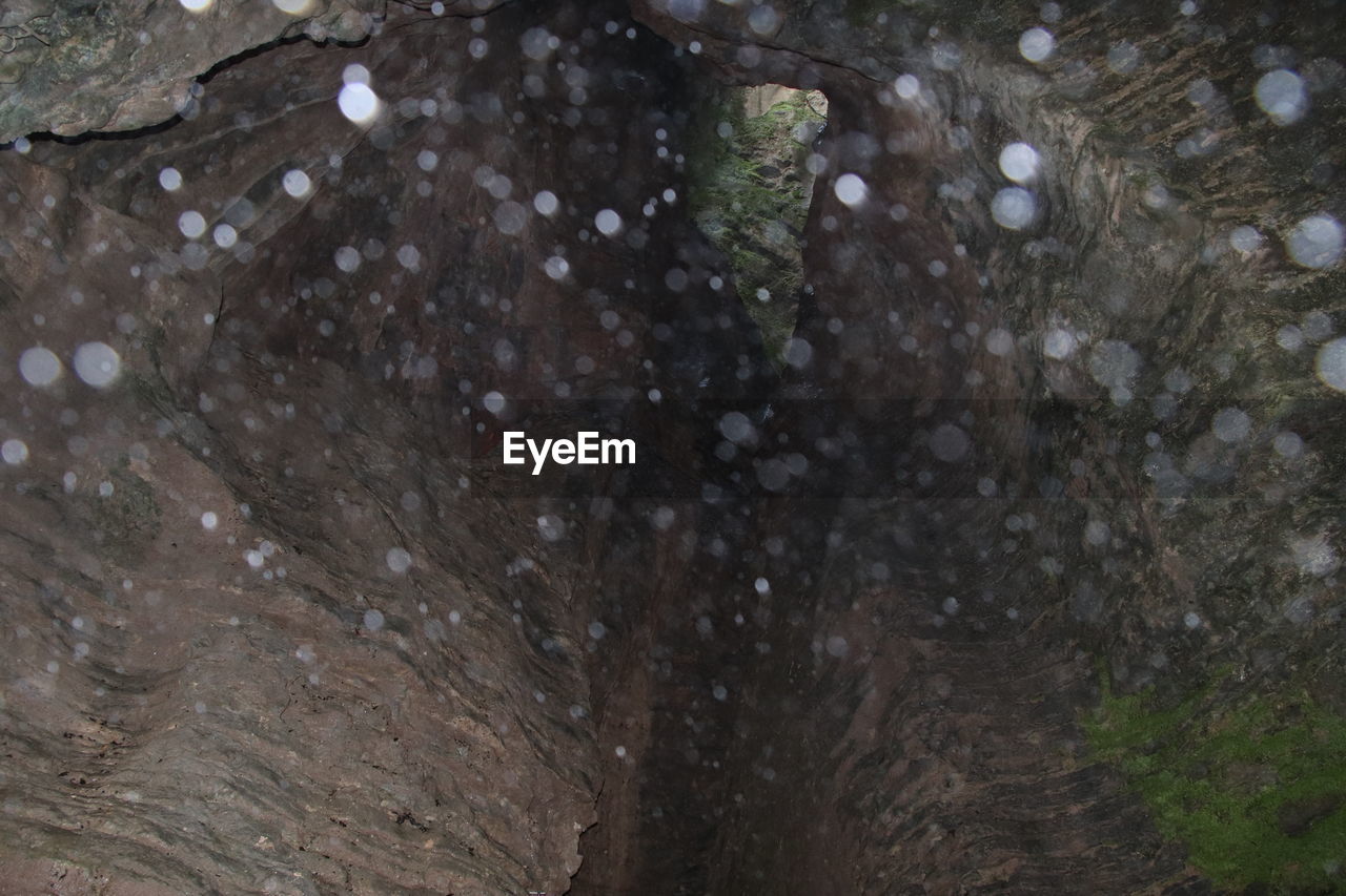 FULL FRAME SHOT OF RAINDROPS ON TREE TRUNK