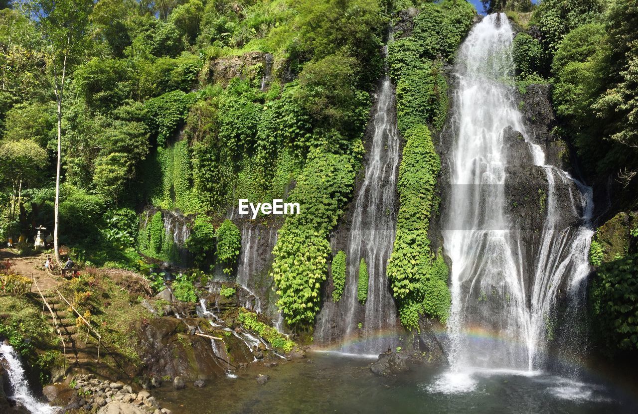 WATERFALL IN A FOREST