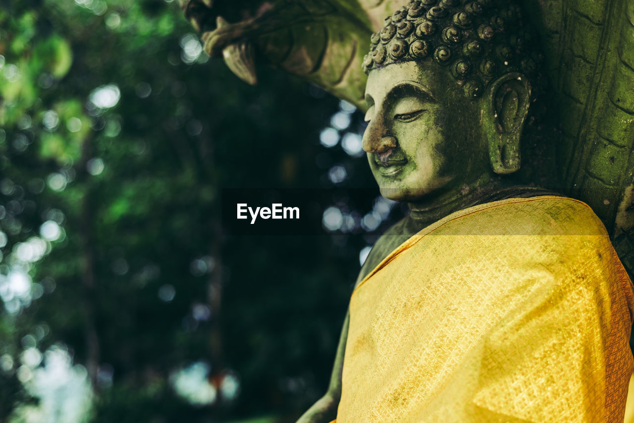 yellow, religion, statue, sculpture, temple, green, spirituality, belief, human representation, temple - building, representation, nature, plant, tree, person, outdoors, gold, focus on foreground, male likeness, architecture, adult, culture