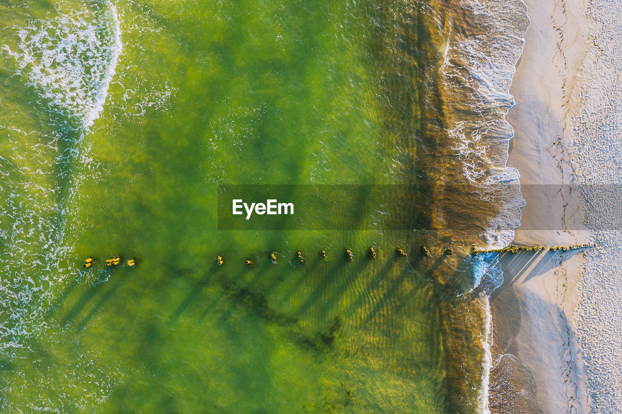 HIGH ANGLE VIEW OF INSECT ON LAND