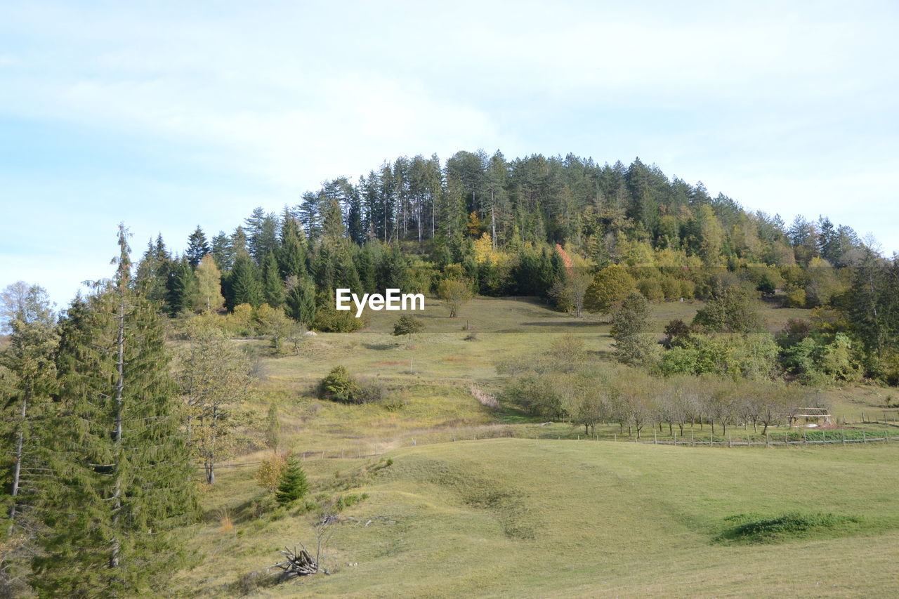 SCENIC VIEW OF LAND AGAINST SKY