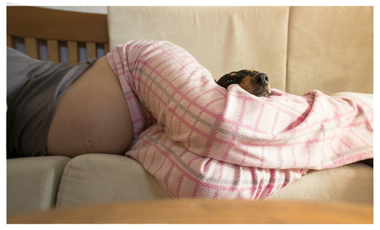 Dog and pregnant woman sleeping on sofa