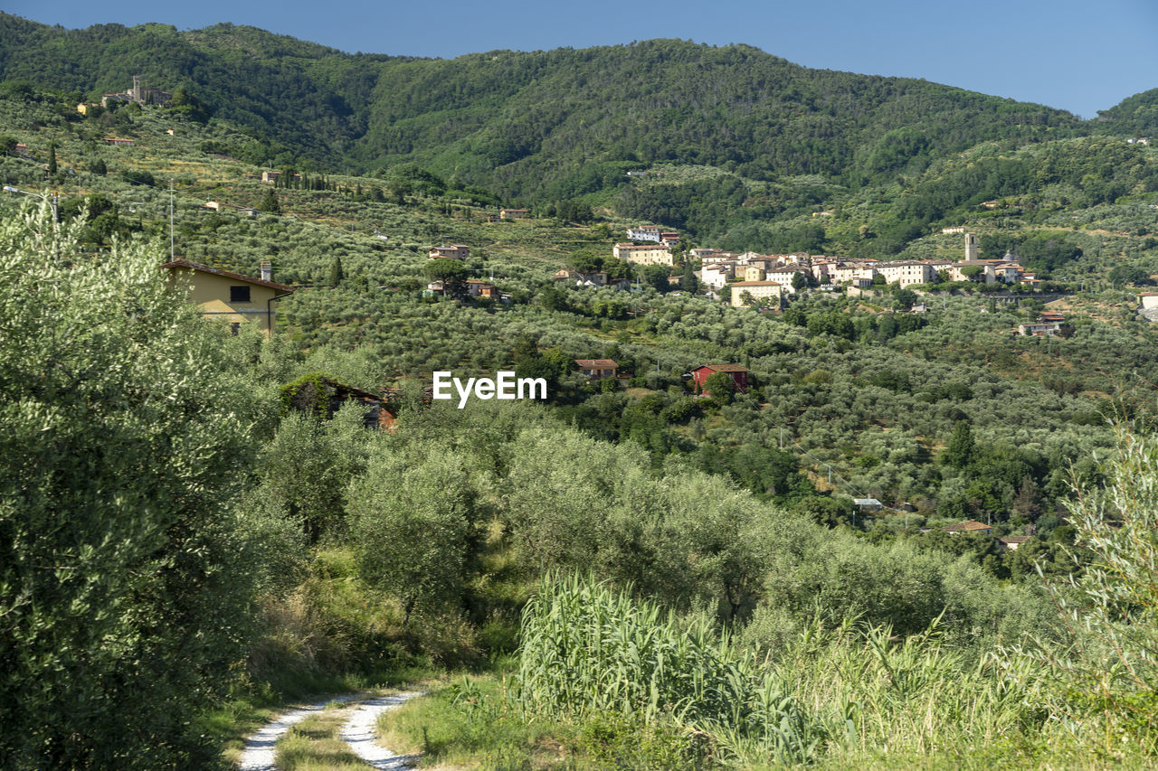 PANORAMIC VIEW OF VILLAGE AMIDST BUILDINGS