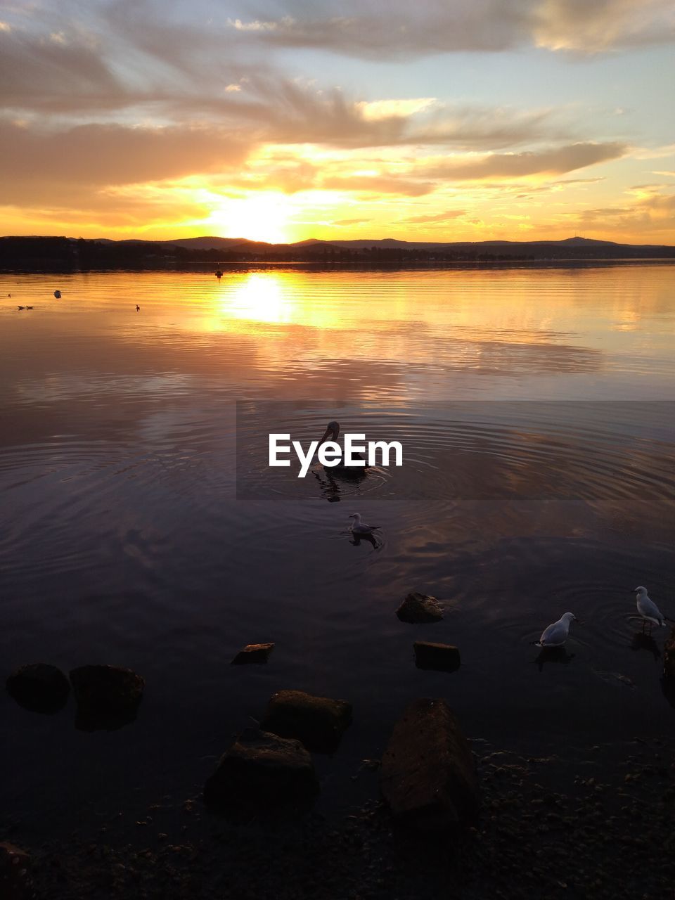 VIEW OF LAKE AT SUNSET