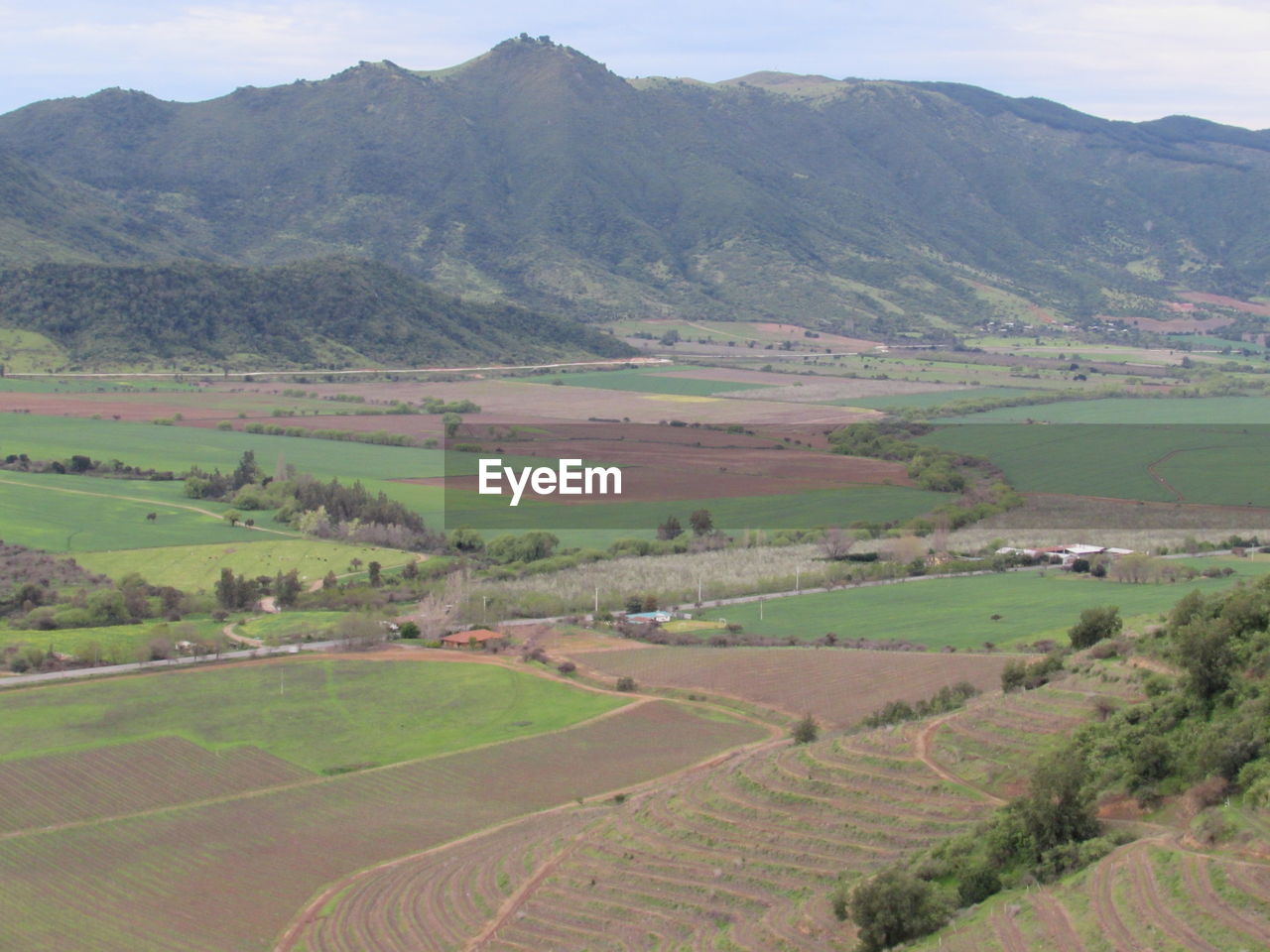 HIGH ANGLE VIEW OF TREES ON LANDSCAPE