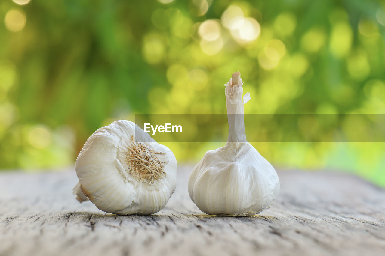 CLOSE-UP OF WHITE GARLIC ON TABLE AGAINST BLURRED BACKGROUND