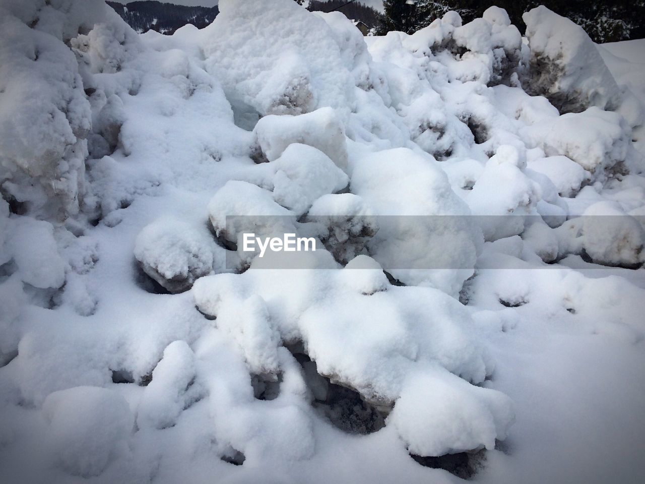 SNOW COVERED TREES ON SNOW COVERED LANDSCAPE