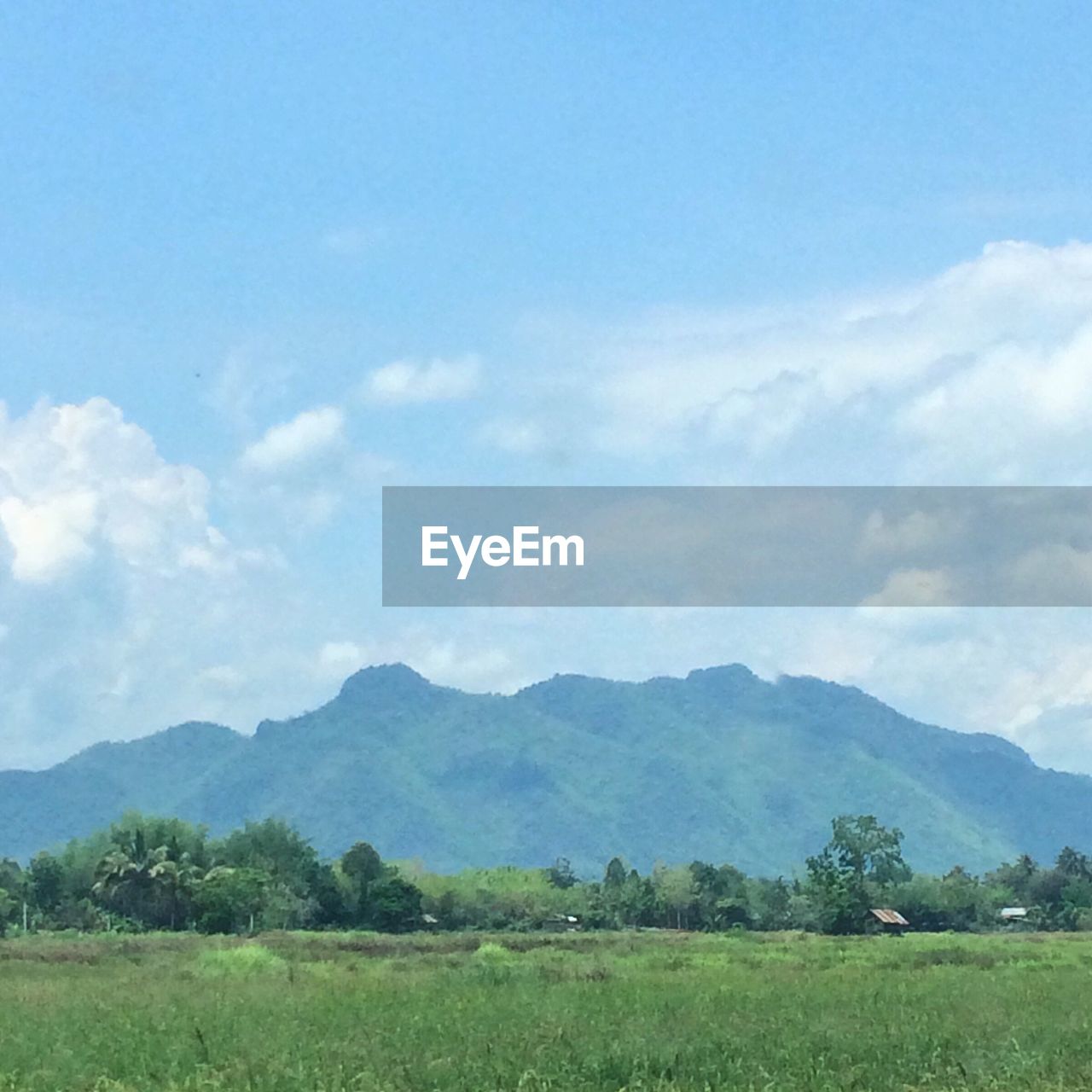 Scenic view of field and mountains against sky