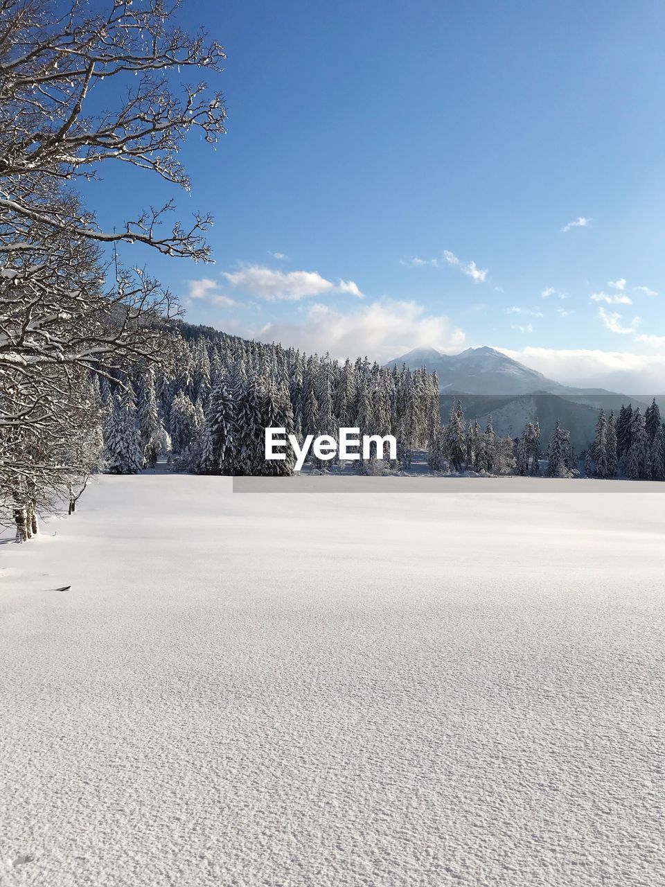 Scenic view of snowcapped field against sky