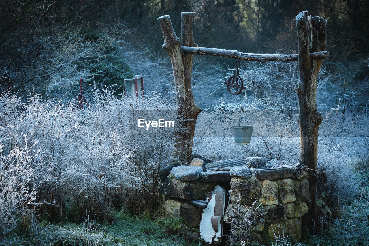 Old abandoned well in forest