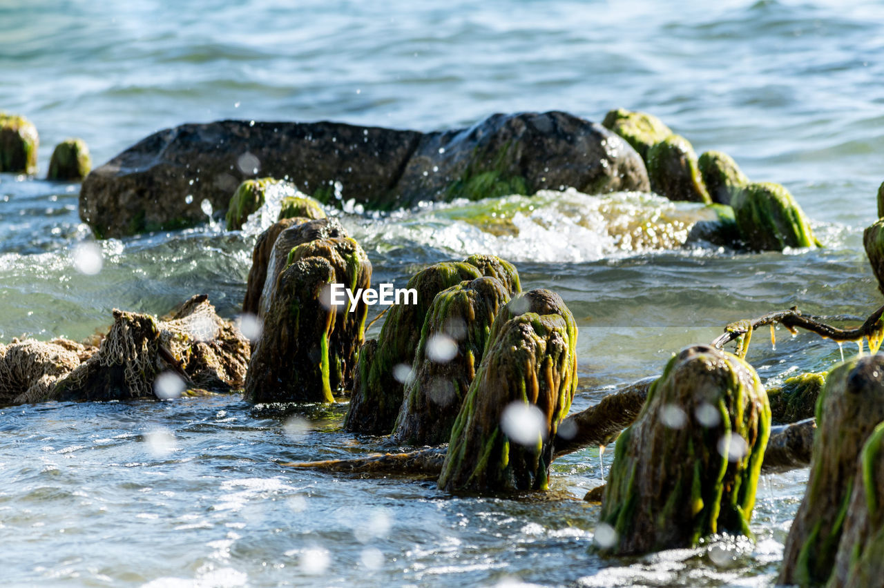 Close-up of rocks on beach