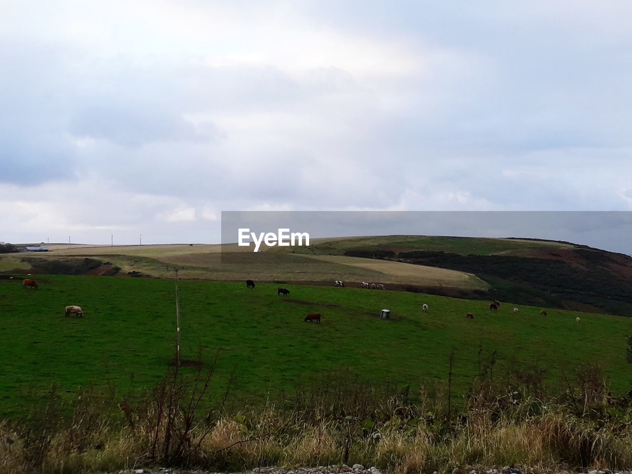 SCENIC VIEW OF AGRICULTURAL LANDSCAPE AGAINST SKY