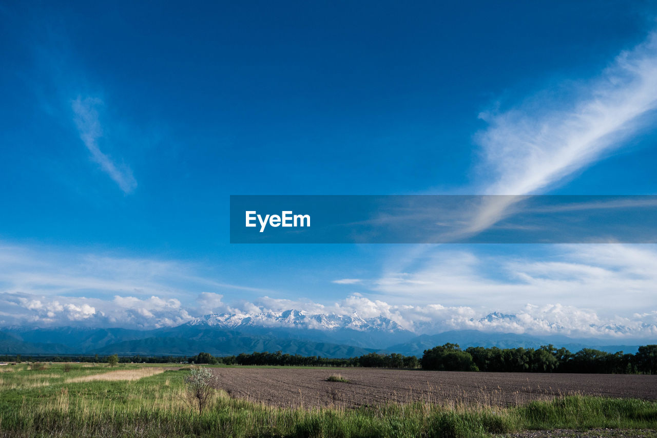 Scenic view of agricultural field against blue sky