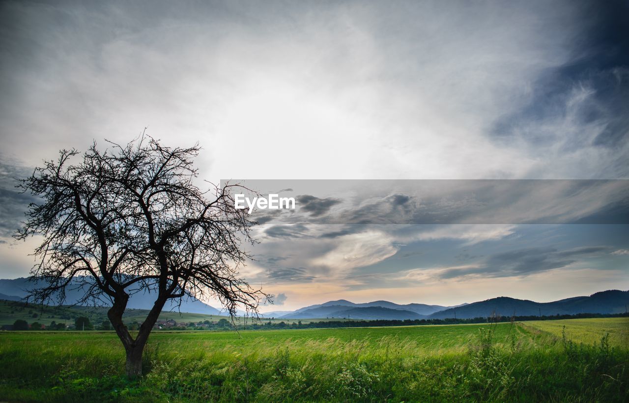 SCENIC VIEW OF LAND AGAINST SKY