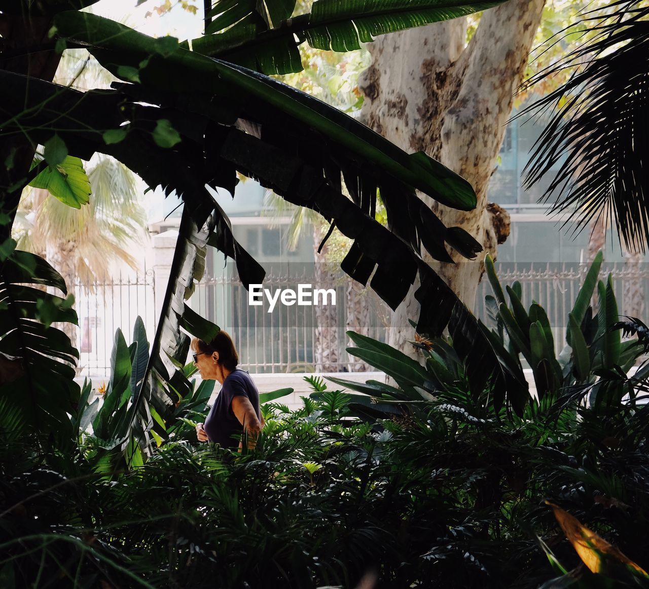 Woman walking by plants