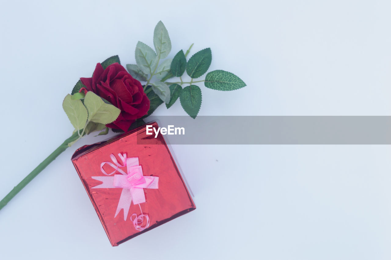 CLOSE-UP OF RED ROSE IN BOX