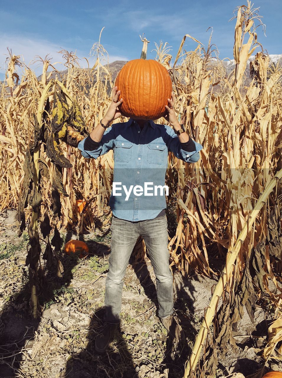 REAR VIEW OF PERSON STANDING IN FARM