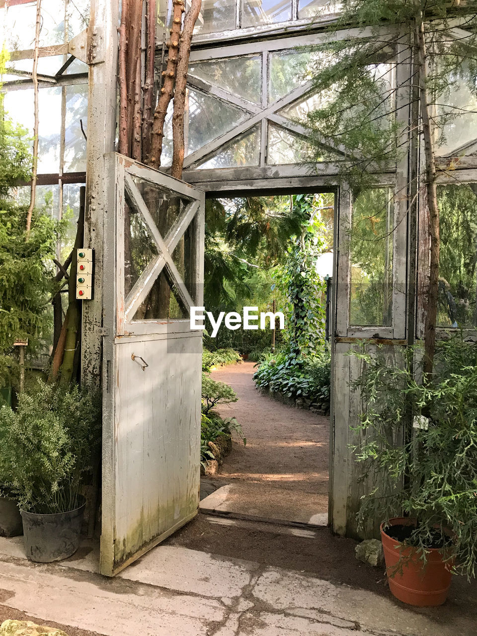 POTTED PLANTS IN GREENHOUSE