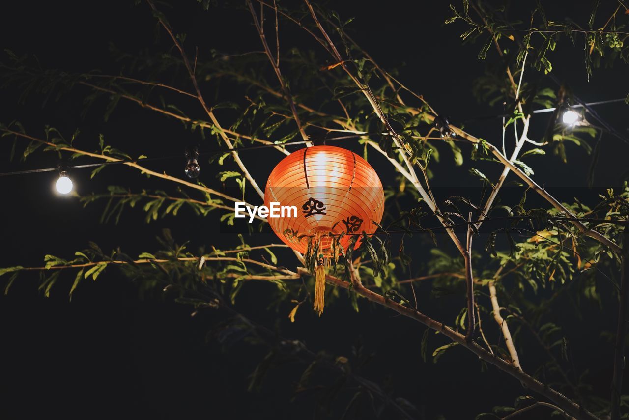 Close-up of illuminated lantern on field at night