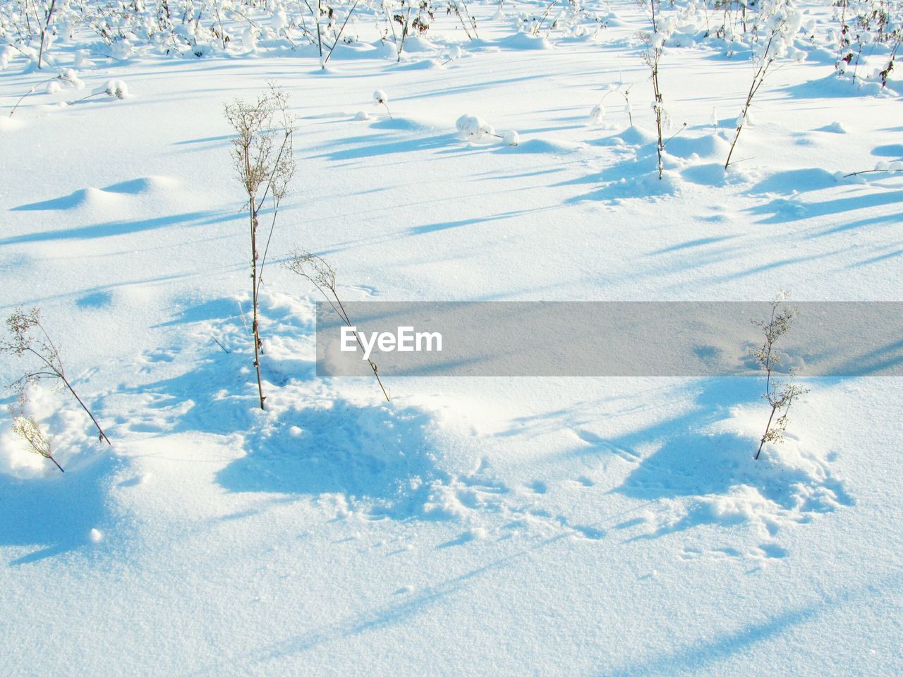 HIGH ANGLE VIEW OF SNOW COVERED LAND ON FIELD