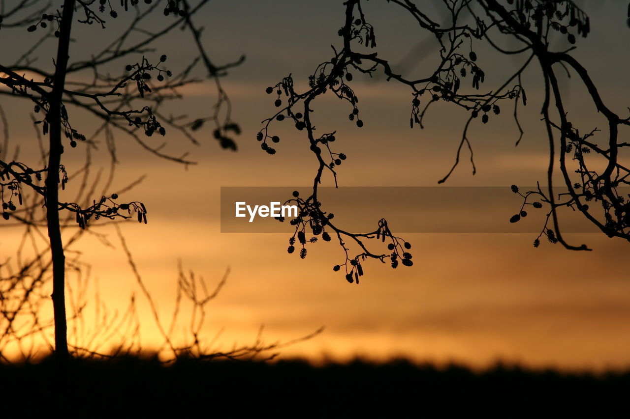 Silhouette landscape against scenic sky