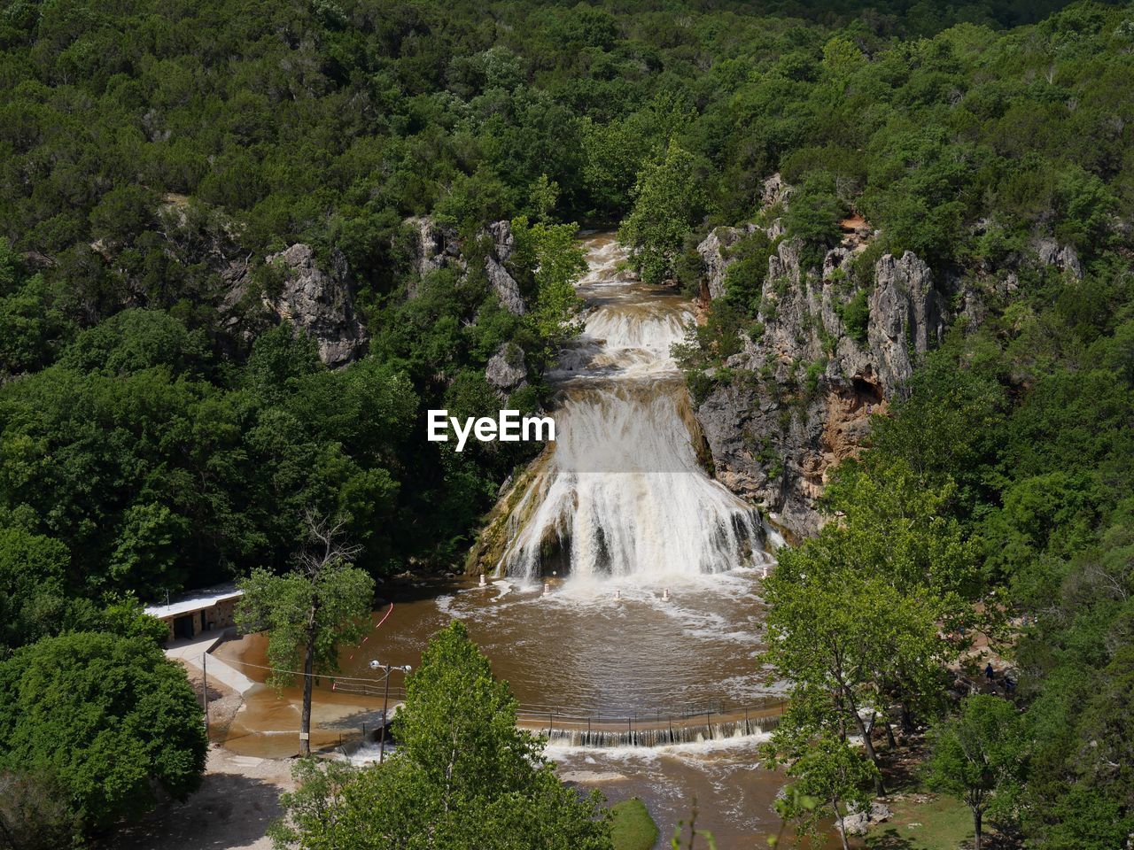 WATERFALL ALONG TREES IN FOREST