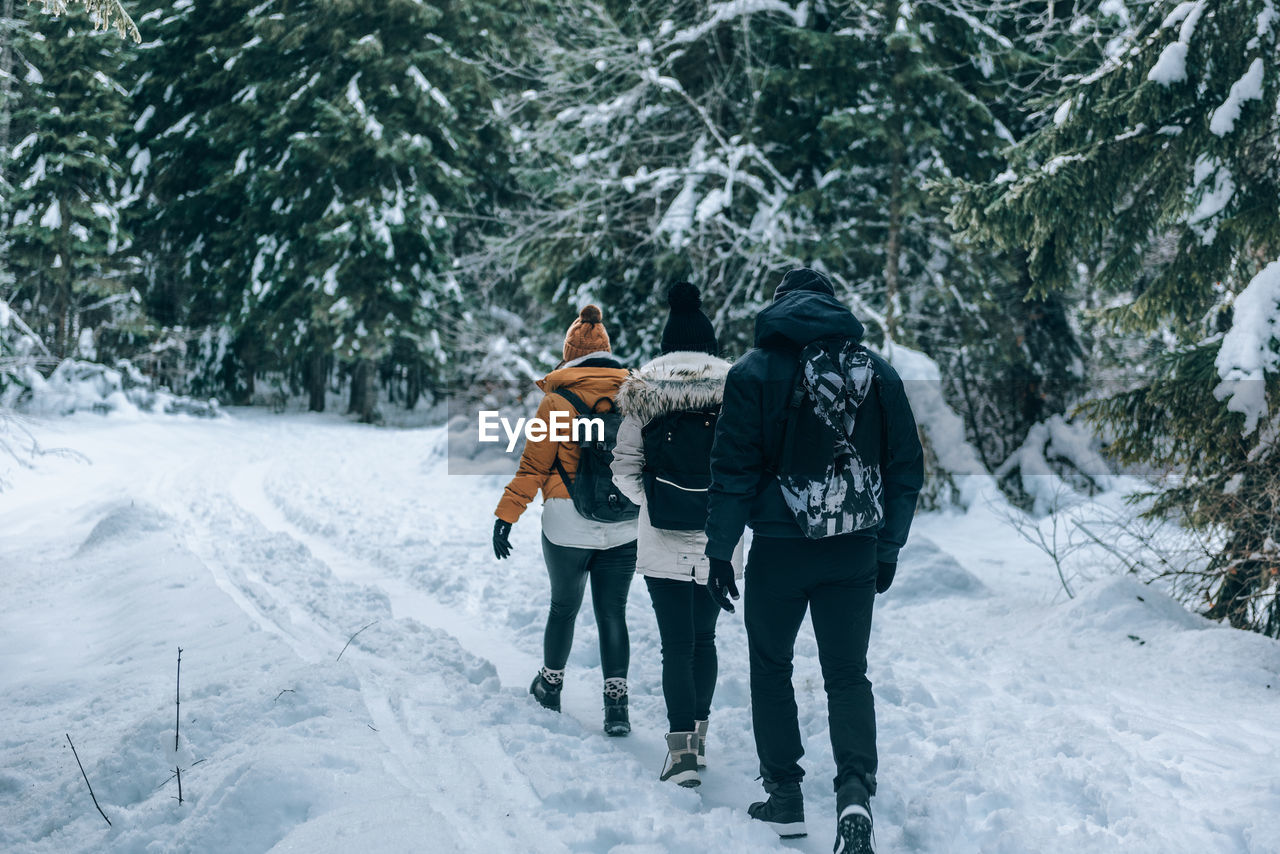 Group of friends hiking on snowy path in forest