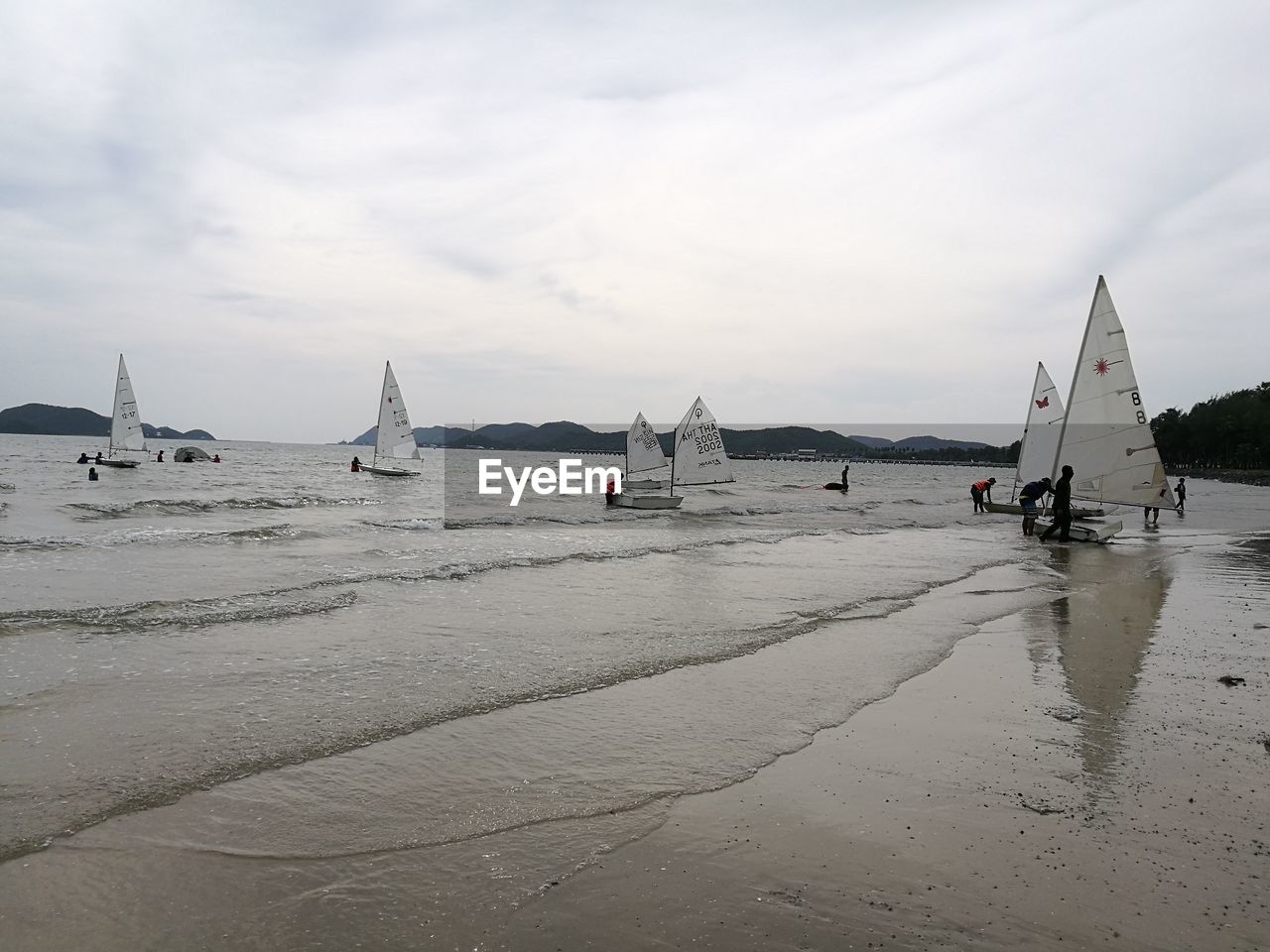 Men with windsurfing boards at sea against sky