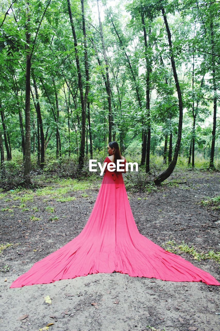 Rear view of woman walking amidst trees in forest